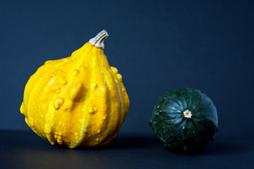 Small, yellow, warty ornamental pumpkin with round, green gourd on black background