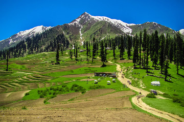 scenic landscape of Lalazar, Kaghan Valley, Northern Areas of Pakistan, Pakistan