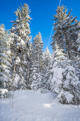 HTiefschnee im Hochschwarzwald