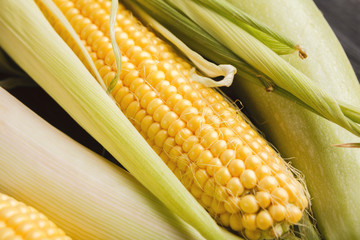 Corn on wooden background
