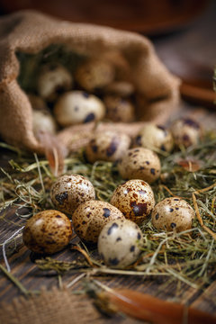 Quail eggs with hay