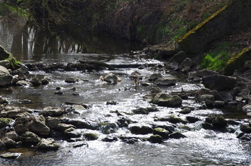 Bachlauf