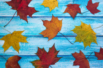 Maple leaves on wooden background