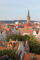 Fototapeta na wymiar Old residential buildings and Main Town Hall's tower at the Main Town (Old Town) in Gdansk, Poland, viewed from above in the morning.