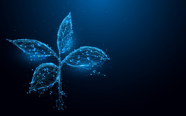 Plant from lines and triangles, point connecting network on blue background. Illustration vector