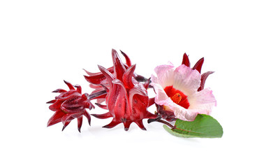 Fototapeta na wymiar roselle hibiscus on white background
