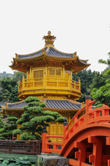 Fototapeta premium Chi Lin Nunnery and Nan Lian Garden | Hong Kong