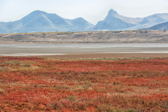 Bright  autumn bush and beautiful view of the mountains of Karadag, Crimea