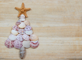 Christmas tree shape made out of saltwater shells with a starfish on top on a natural, textured background. Great image for Christmas in warm climates or Southern Hemisphere. Copy space on right side