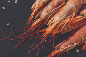 Fresh big red shrimps background