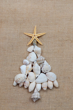 Christmas tree shape made out of saltwater shells with a starfish on top on a natural, textured background. Great image for Christmas in warm climates or Southern Hemisphere. 