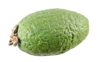 Green unpeeled feijoa fruit isolated on white background