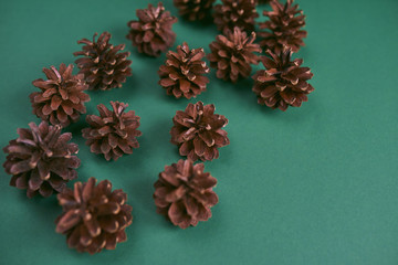A lot of pine cones on green background. Design mockup.