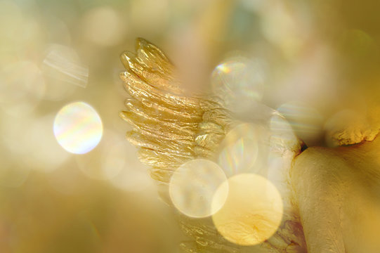 Goldener Engelsfl&uuml;gel/Engel in warmem Licht