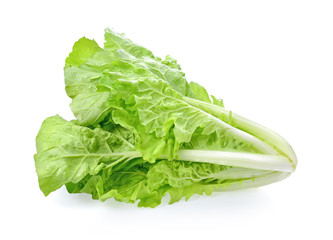Lettuce on white background