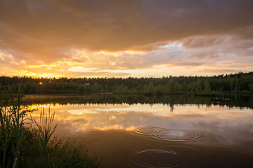 Circles on the water