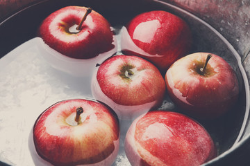 Metal basin with apples in water. Autumn harvest background