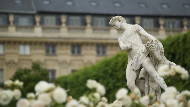 Beautiful white flowers, ancient statue and Luxembourg Palace in Paris, France
