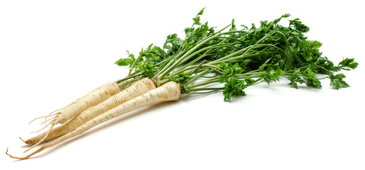 Group of four whole fresh parsley root with leaves isolated on white background.
