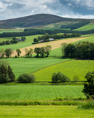 Obraz premium Scottish Hills