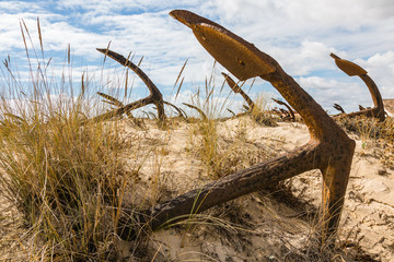 Natural Cemetery of Marine Anchors at Barril Beach, Portugal