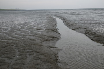 Pril im Wattenmeer