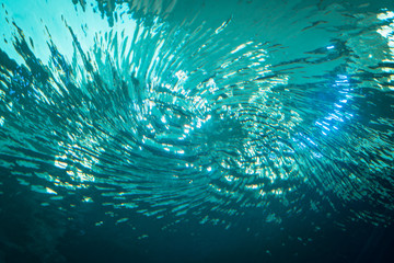 Fototapeta na wymiar Turquoise water surface from below
