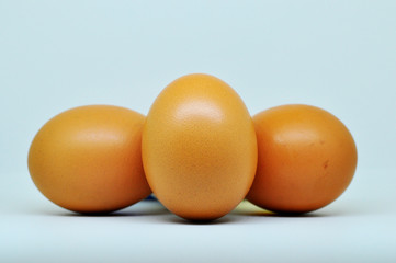   chicken egg isolated on white background.