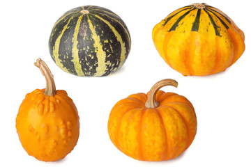 Cute small decorative pumpkins isolated on white background