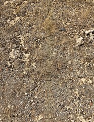 soil