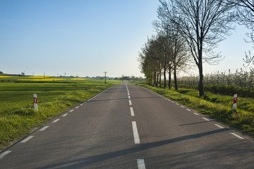 Straight road in countryside