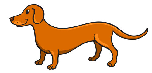 Cute cartoon dachshund