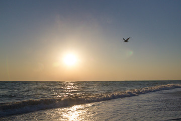Beautiful sunset on the summer sea