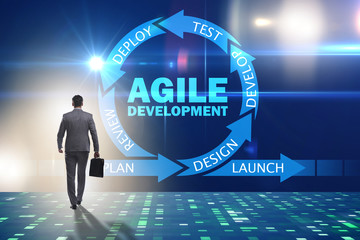 Concept of agile software development
