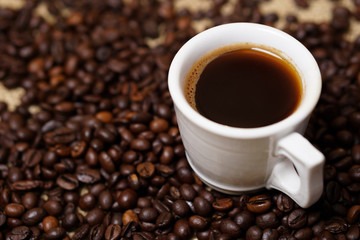 Cup of coffee on coffee beans