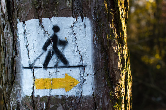 Nordic walking track sign painted on the tree in the forest