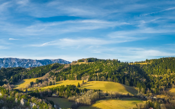 20-Schilling Blick