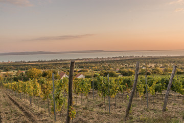 Balaton a Fenyéről