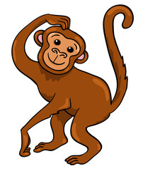 Monkey