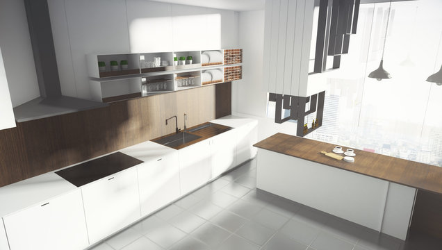 Contemporary white kitchen interior