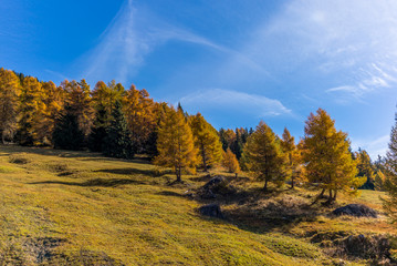 Trekking in the  Swiss Alps in Autumn - 3