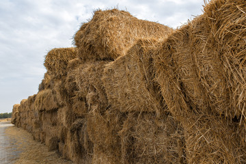 bales of hay	