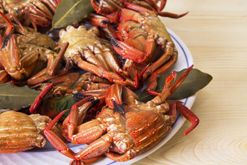 dish of crabs