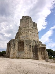 Naklejka premium roman tower