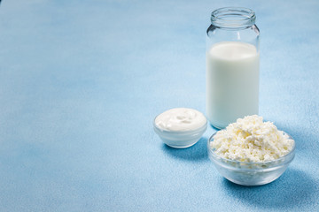 Tasty fresh dairy products milk sour cream yogurt ricotta cottage cheese. Selective focus, copy space. 