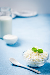 Fresh milk sour cream yogurt cottage cheese in glass bowls. Selective focus, copy space. 