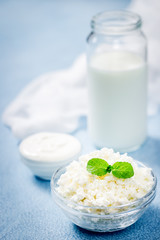 Fresh milk, sour cream, yogurt, cottage cheese. Selective focus, copy space