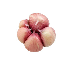 Garlic. Bulbs and cloves isolated on whit. Fresh young garlic.