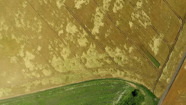 Flight over green and yellow agricultural fields in Russia