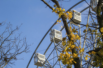 Ferris wheel in the autumn park